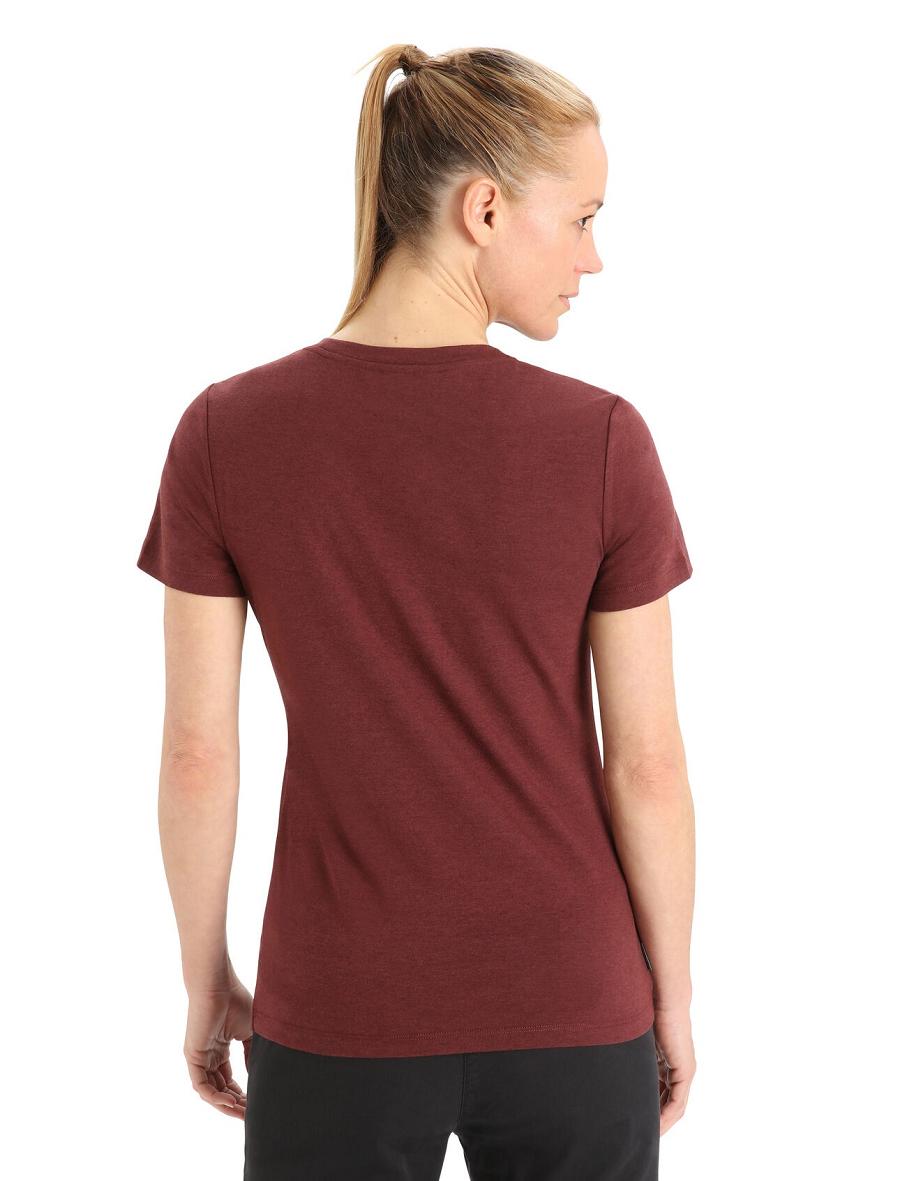 Women's Icebreaker Merino Central Classic Short Sleeve Leaf T Shirts Espresso | CA 1387UZGT